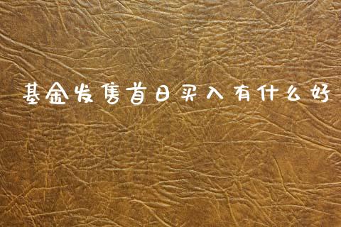 基金发售首日买入有什么好_https://m.jnkyh.com_股指期货_第1张