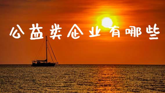 公益类企业有哪些_https://m.jnkyh.com_国际原油_第1张