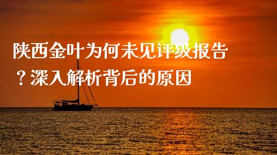 陕西金叶为何未见评级报告？深入解析背后的原因_https://m.jnkyh.com_股指期货_第1张