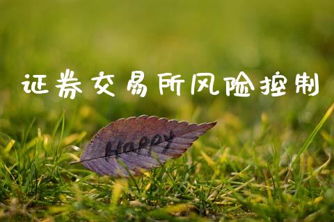 证券交易所风险控制_https://m.jnkyh.com_股票交易_第1张