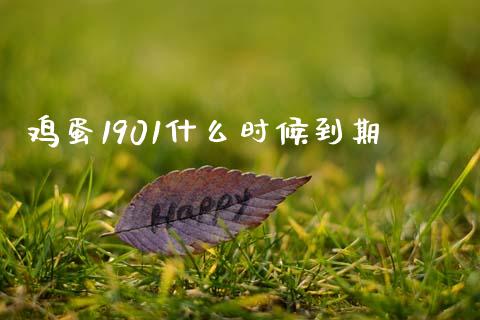 鸡蛋1901什么时候到期_https://m.jnkyh.com_股票交易_第1张