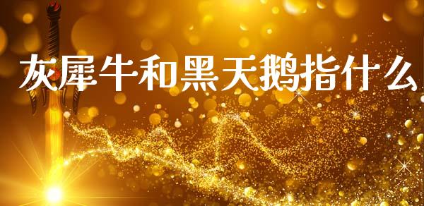灰犀牛和黑天鹅指什么_https://m.jnkyh.com_国际原油_第1张