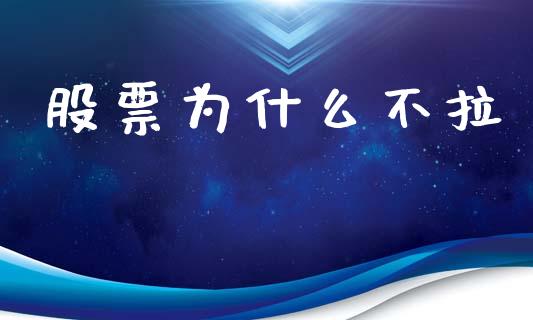 股票为什么不拉_https://m.jnkyh.com_股票交易_第1张