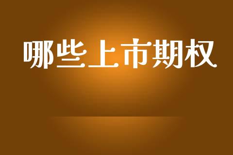 哪些上市期权_https://m.jnkyh.com_国际原油_第1张