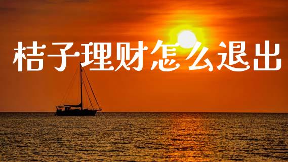 桔子理财怎么退出_https://m.jnkyh.com_股票交易_第1张