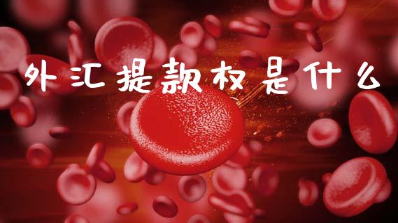 外汇提款权是什么_https://m.jnkyh.com_期货开户条件_第1张