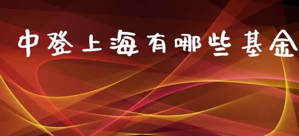 中登上海有哪些基金_https://m.jnkyh.com_股指期货_第1张