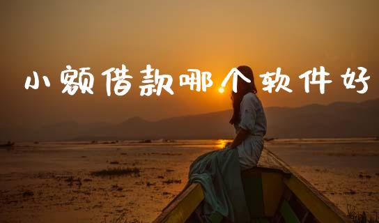 小额借款哪个软件好_https://m.jnkyh.com_期货开户条件_第1张