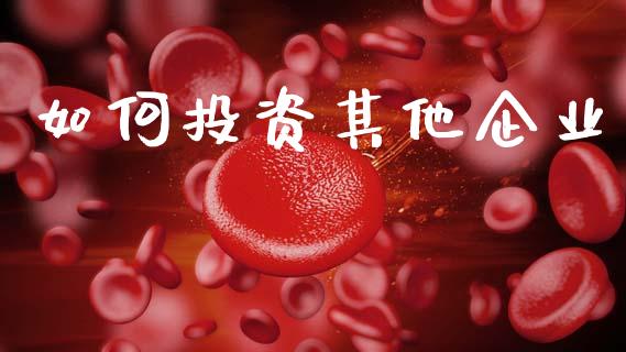 如何投资其他企业_https://m.jnkyh.com_期货开户条件_第1张