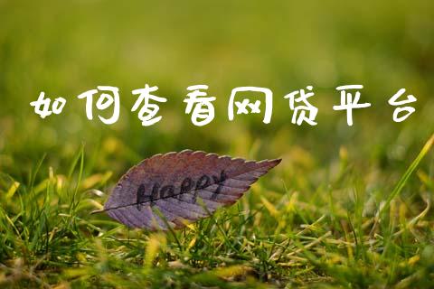 如何查看网贷平台_https://m.jnkyh.com_股票交易_第1张