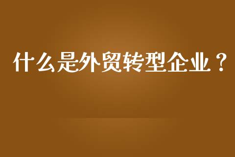 什么是外贸转型企业？_https://m.jnkyh.com_股票交易_第1张