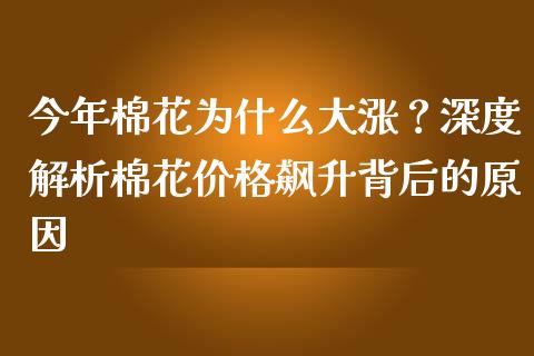 今年棉花为什么大涨？深度解析棉花价格飙升背后的原因_https://m.jnkyh.com_国际原油_第1张