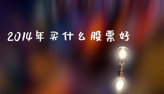 2014年买什么股票好_https://m.jnkyh.com_期货开户条件_第1张