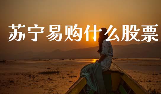 苏宁易购什么股票_https://m.jnkyh.com_股指期货_第1张