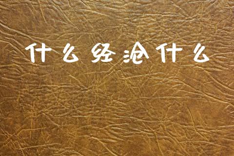 什么经沧什么_https://m.jnkyh.com_股票交易_第1张