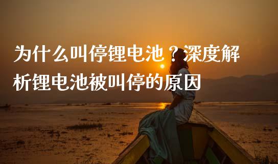 为什么叫停锂电池？深度解析锂电池被叫停的原因_https://m.jnkyh.com_国际原油_第1张
