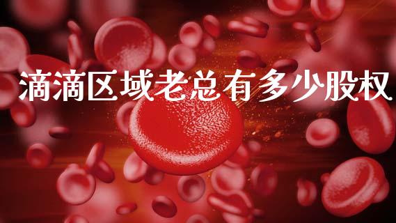 滴滴区域老总有多少股权_https://m.jnkyh.com_股票交易_第1张