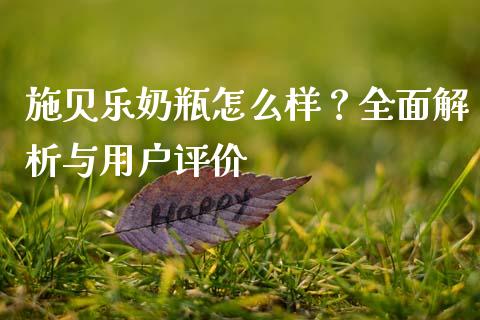 施贝乐奶瓶怎么样？全面解析与用户评价_https://m.jnkyh.com_国际原油_第1张