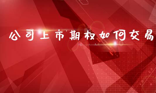 公司上市期权如何交易_https://m.jnkyh.com_国际原油_第1张