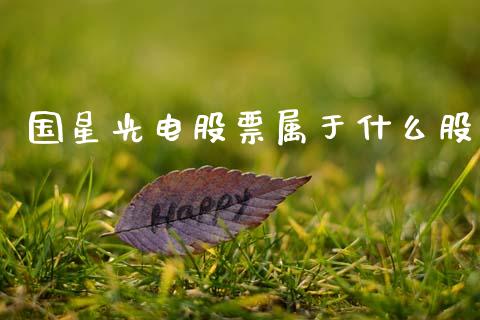 国星光电股票属于什么股_https://m.jnkyh.com_国际原油_第1张