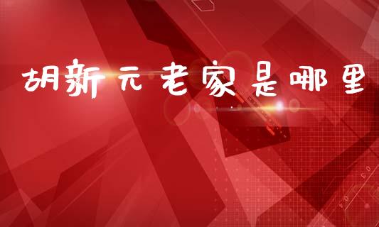 胡新元老家是哪里_https://m.jnkyh.com_期货开户条件_第1张