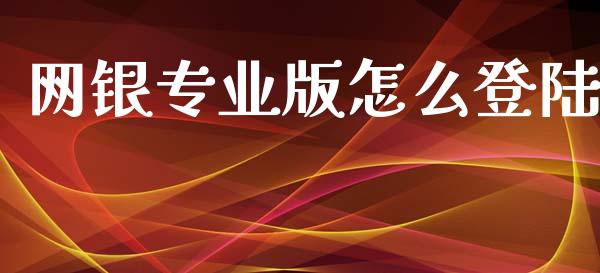 网银专业版怎么登陆_https://m.jnkyh.com_股票交易_第1张