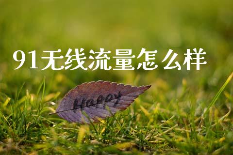 91无线流量怎么样_https://m.jnkyh.com_国际原油_第1张