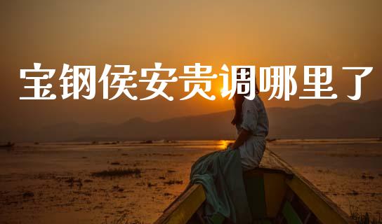 宝钢侯安贵调哪里了_https://m.jnkyh.com_期货开户条件_第1张