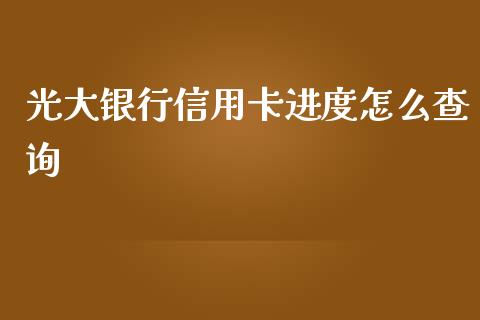 光大银行信用卡进度怎么查询_https://m.jnkyh.com_股指期货_第1张