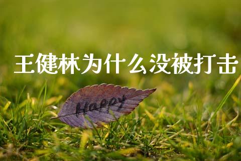 王健林为什么没被打击_https://m.jnkyh.com_国际原油_第1张