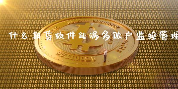 什么期货软件能够多账户监控管理_https://m.jnkyh.com_股指期货_第1张
