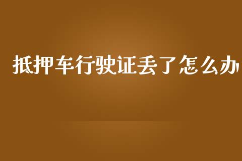 抵押车行驶证丢了怎么办_https://m.jnkyh.com_期货开户条件_第1张