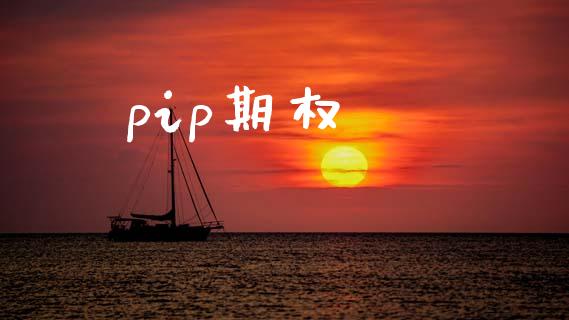 pip期权_https://m.jnkyh.com_股票交易_第1张