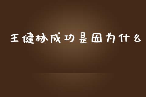 王健林成功是因为什么_https://m.jnkyh.com_期货开户条件_第1张