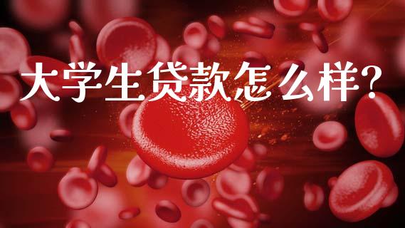大学生贷款怎么样?_https://m.jnkyh.com_股票交易_第1张