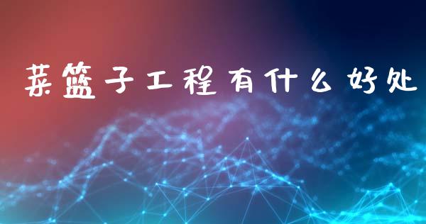 菜篮子工程有什么好处_https://m.jnkyh.com_股票交易_第1张