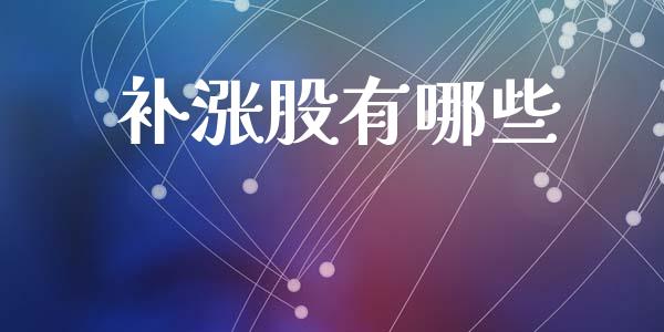 补涨股有哪些_https://m.jnkyh.com_股指期货_第1张