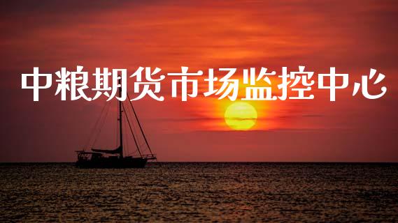 中粮期货市场监控中心_https://m.jnkyh.com_股票交易_第1张