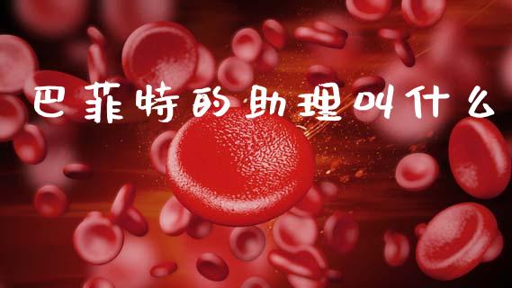 巴菲特的助理叫什么_https://m.jnkyh.com_股指期货_第1张