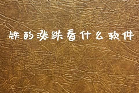 铁的涨跌看什么软件_https://m.jnkyh.com_股票交易_第1张