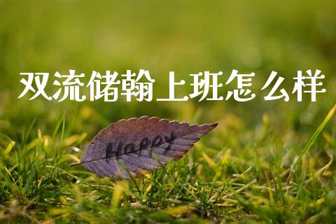 双流储翰上班怎么样_https://m.jnkyh.com_期货开户条件_第1张