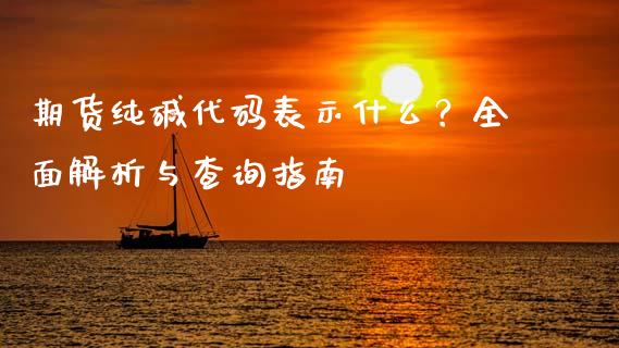 期货纯碱代码表示什么？全面解析与查询指南_https://m.jnkyh.com_股票交易_第1张
