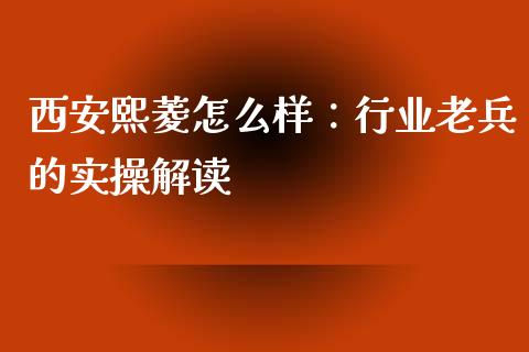 西安熙菱怎么样：行业老兵的实操解读_https://m.jnkyh.com_股指期货_第1张