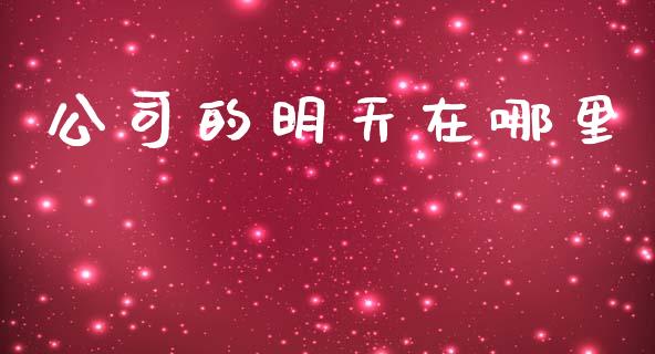 公司的明天在哪里_https://m.jnkyh.com_国际原油_第1张