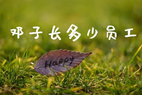 邓子长多少员工_https://m.jnkyh.com_股票交易_第1张