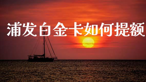 浦发白金卡如何提额_https://m.jnkyh.com_国际原油_第1张