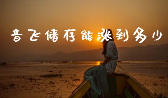 音飞储存能涨到多少_https://m.jnkyh.com_期货开户条件_第1张