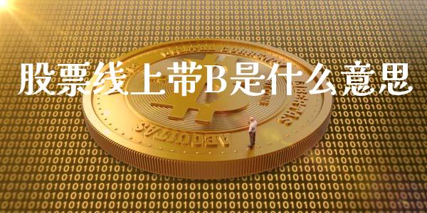 股票线上带B是什么意思_https://m.jnkyh.com_股票交易_第1张