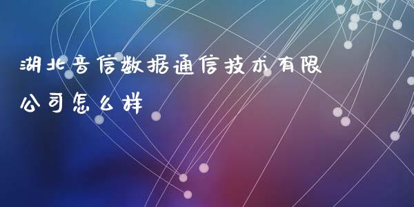 湖北音信数据通信技术有限公司怎么样_https://m.jnkyh.com_股指期货_第1张