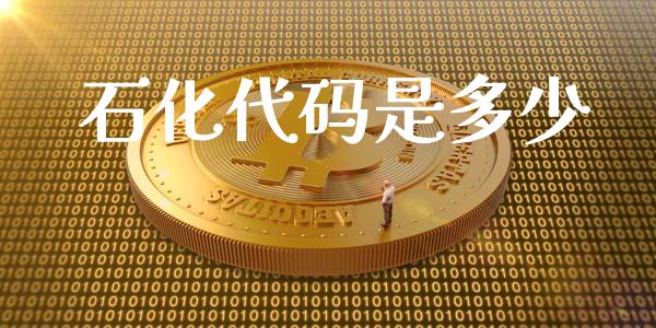 石化代码是多少_https://m.jnkyh.com_国际原油_第1张